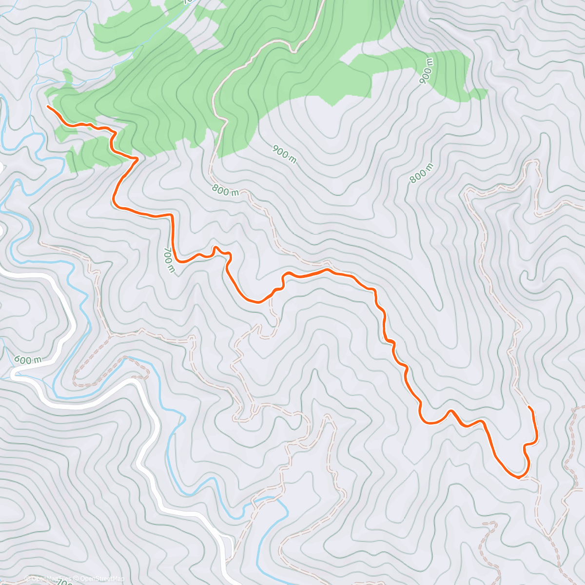 Карта физической активности (Carrera de montaña matutina)