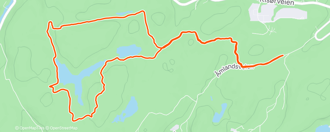 Карта физической активности (Morning Run)