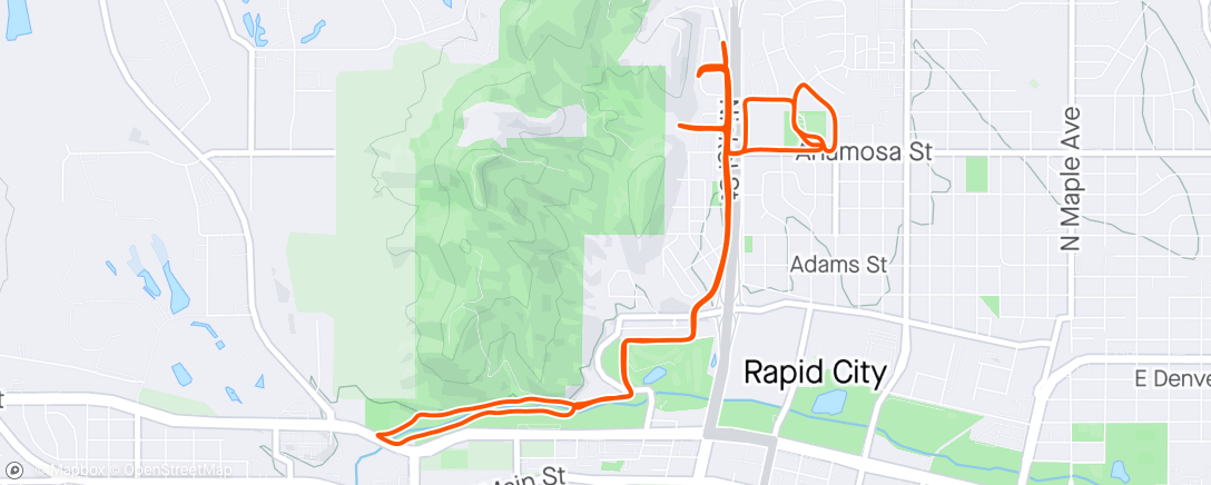 Map of the activity, Pup Run