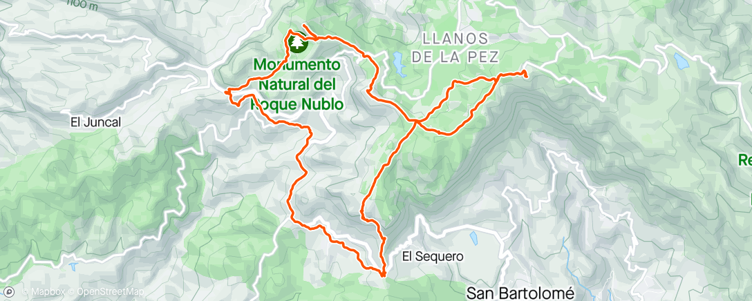 Map of the activity, Pico de las Nieves -> Roque Nublo
