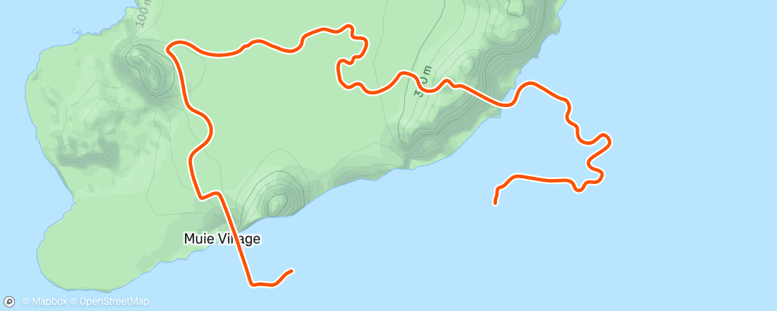 Карта физической активности (walmart 500 finished🫶)