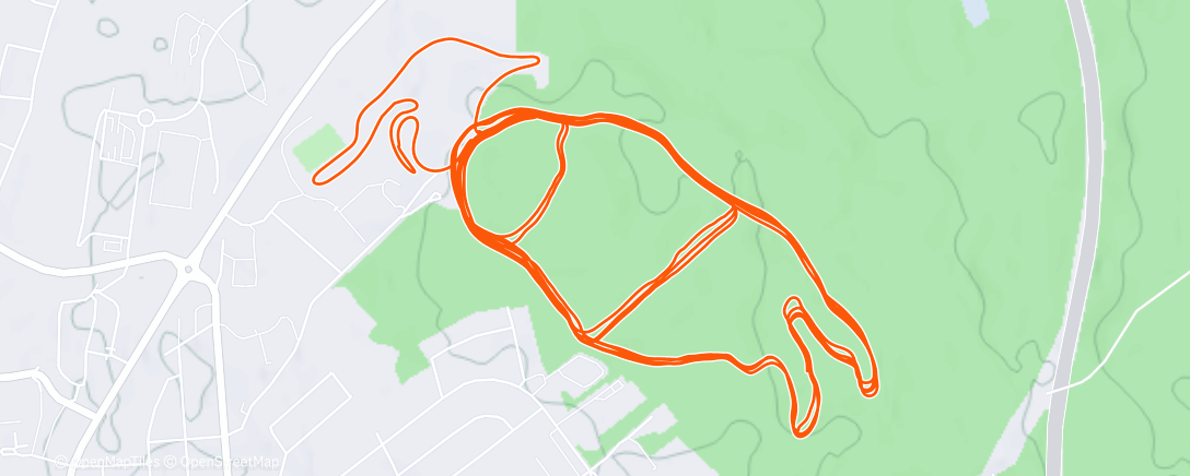 Карта физической активности (Morning Nordic Ski)