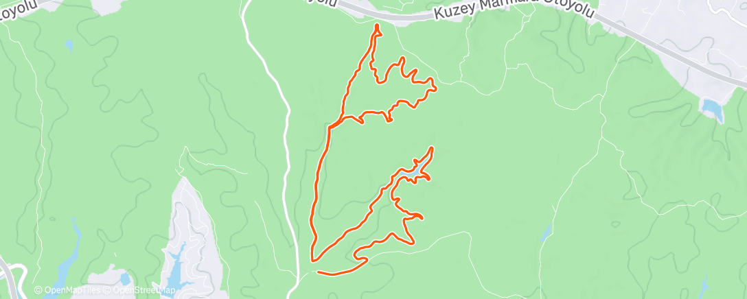 Карта физической активности (Morning Trail Run)