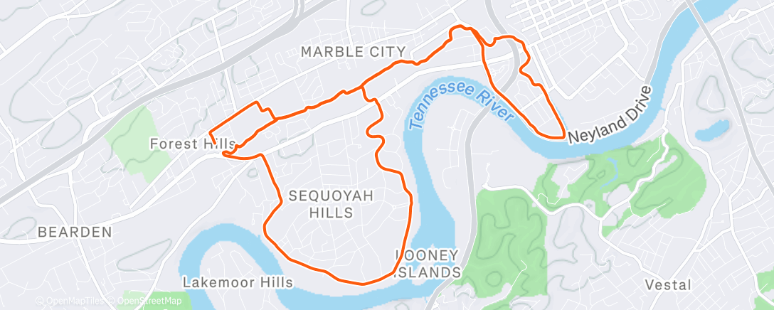 Карта физической активности (Morning Run)