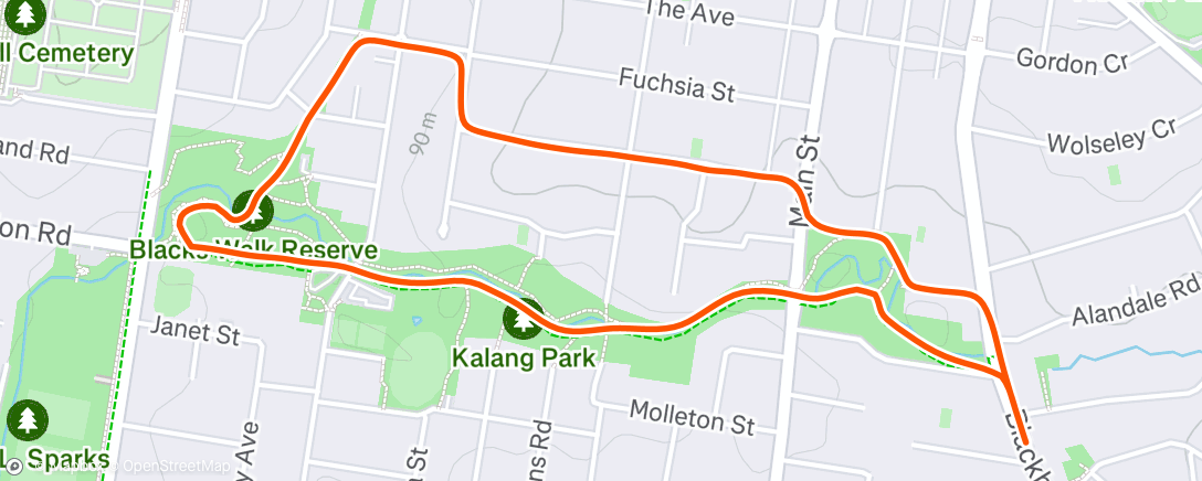 Map of the activity, Evening Run