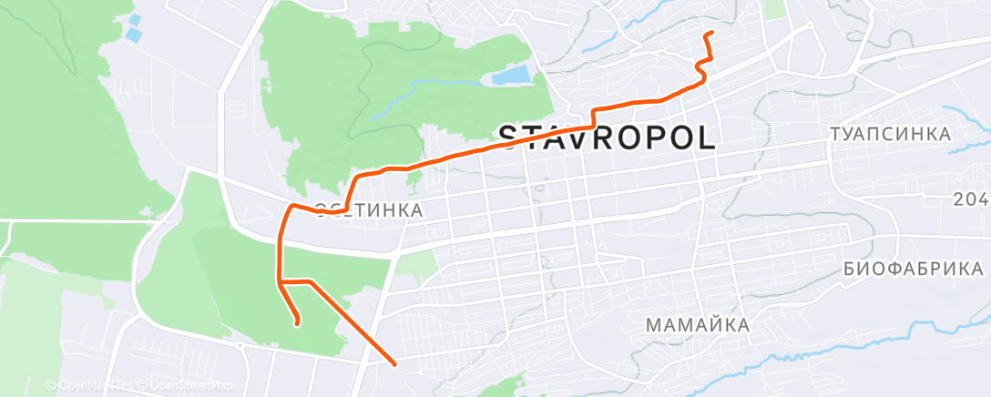 Map of the activity, Утренний забег