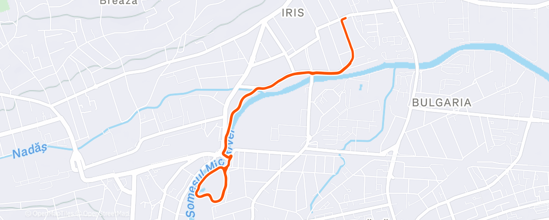 Карта физической активности (Morning Run)