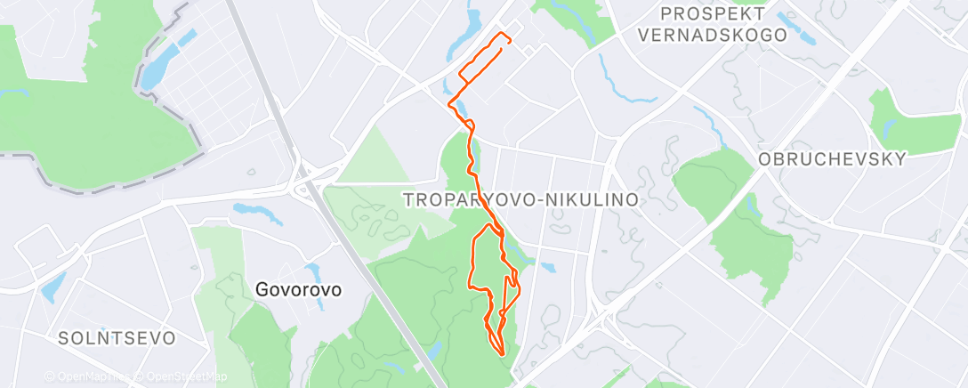 Карта физической активности (Morning Run)