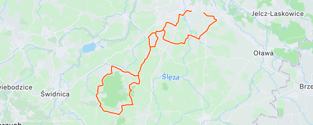 Карта физической активности (Morning Ride)