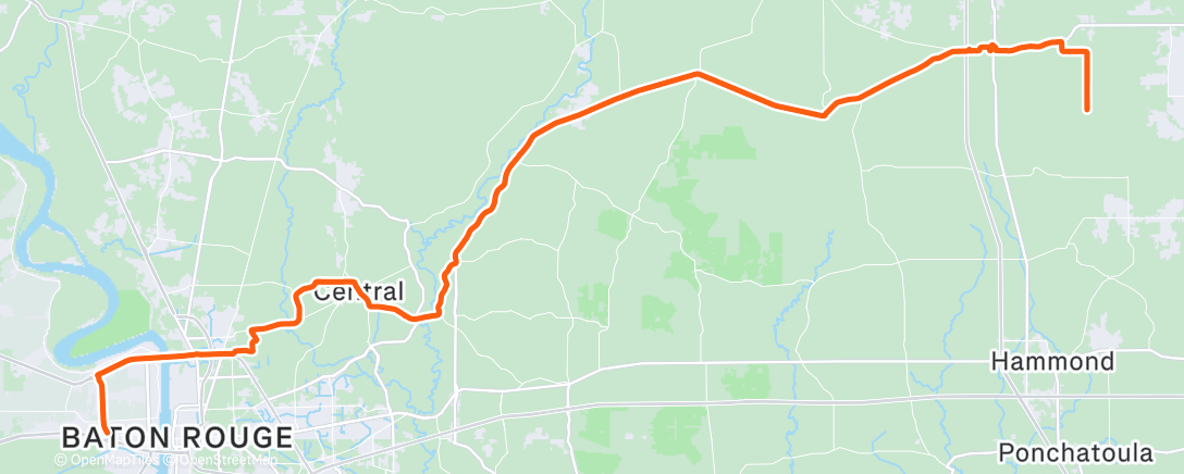 Map of the activity, Cargo West day 16