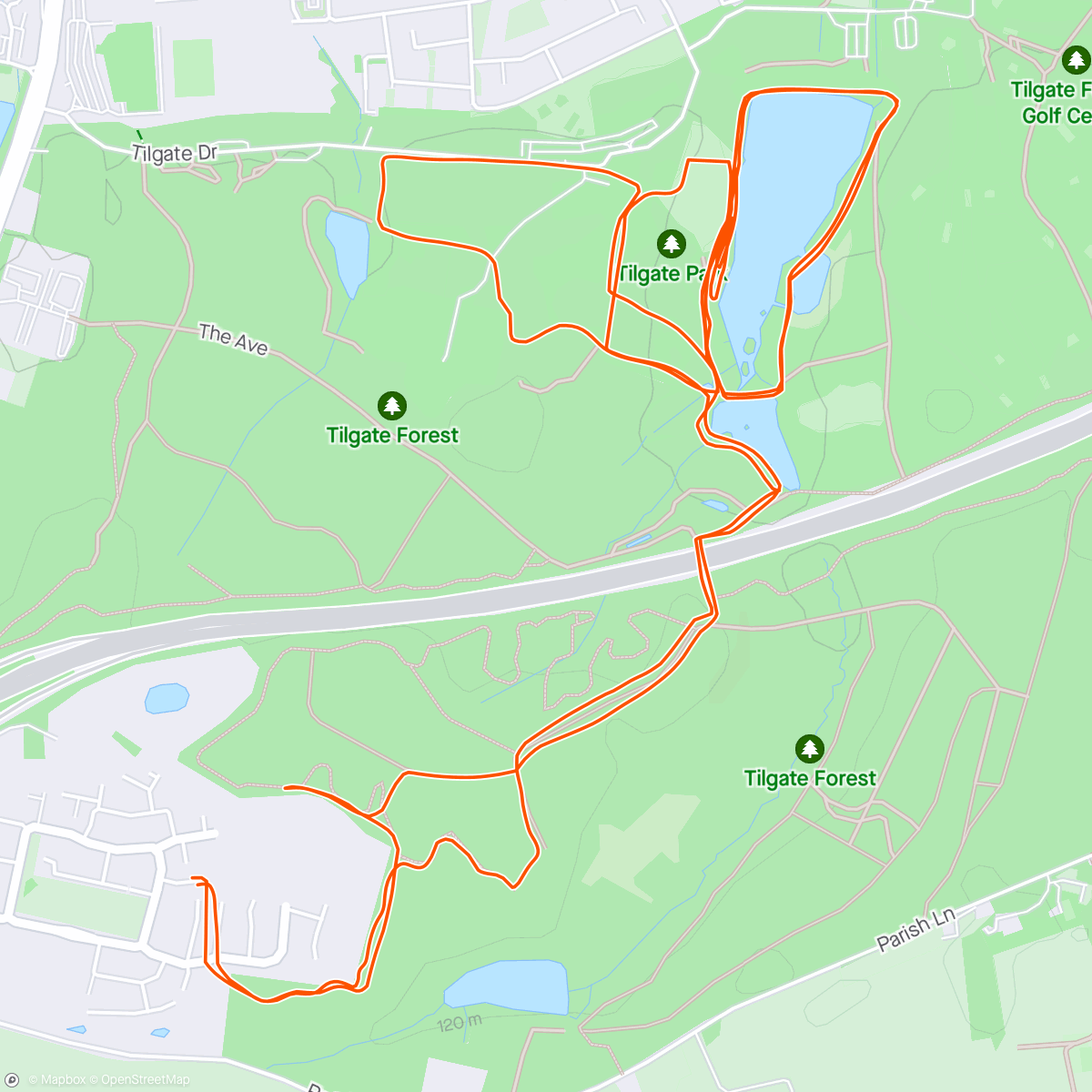 Map of the activity, Morning Run including Tilgate Parkrun