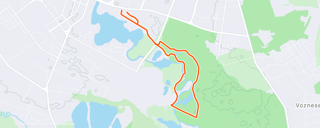 Карта физической активности (Morning Run)