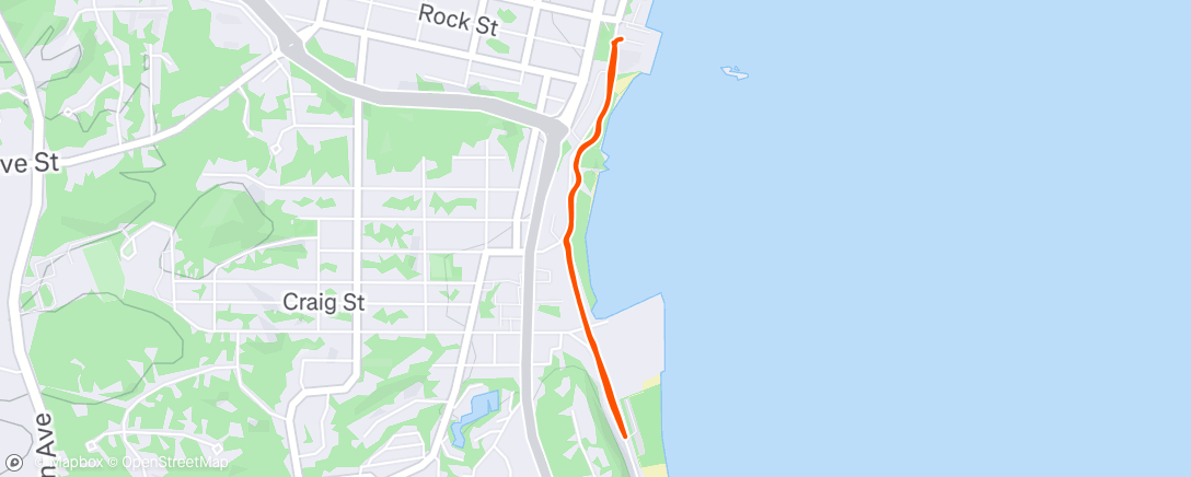 Map of the activity, Morning Run