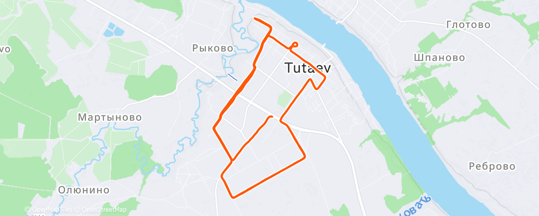 Map of the activity, Суммарно за 5 дней вышло 5 полумарафонов 😄