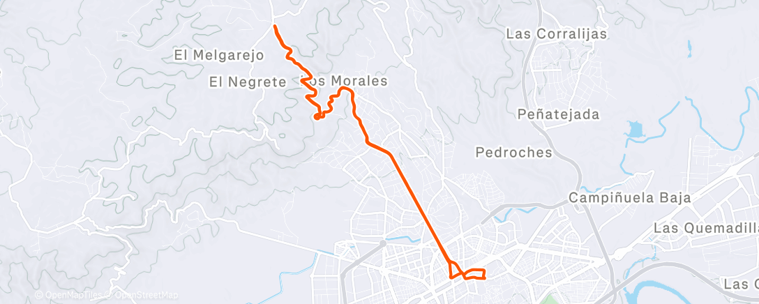 Карта физической активности (🦇)