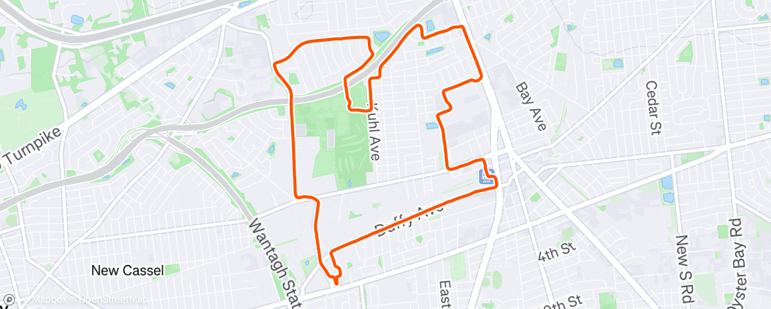 Map of the activity, Another snowy run with Ron