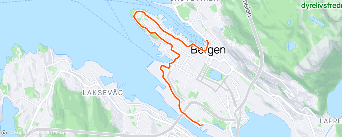 Map of the activity, BCM 5k - 18:19