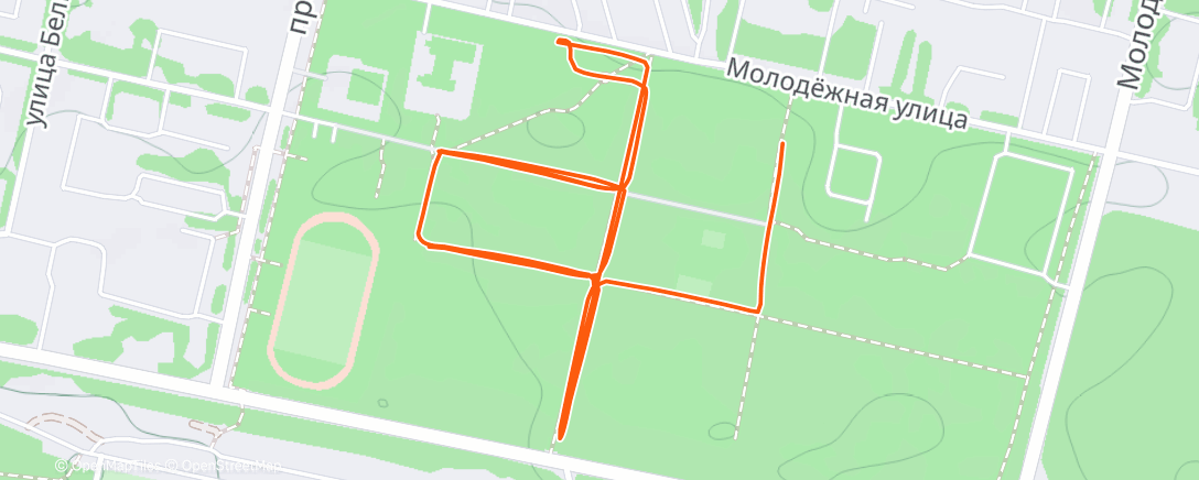 Карта физической активности (Morning Run)