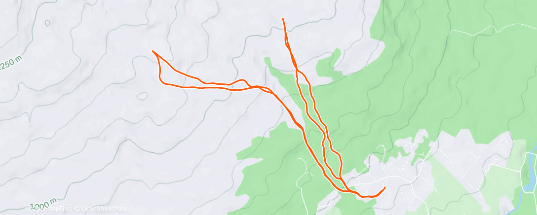 Map of the activity, New Year’s Day dawn pawtrol