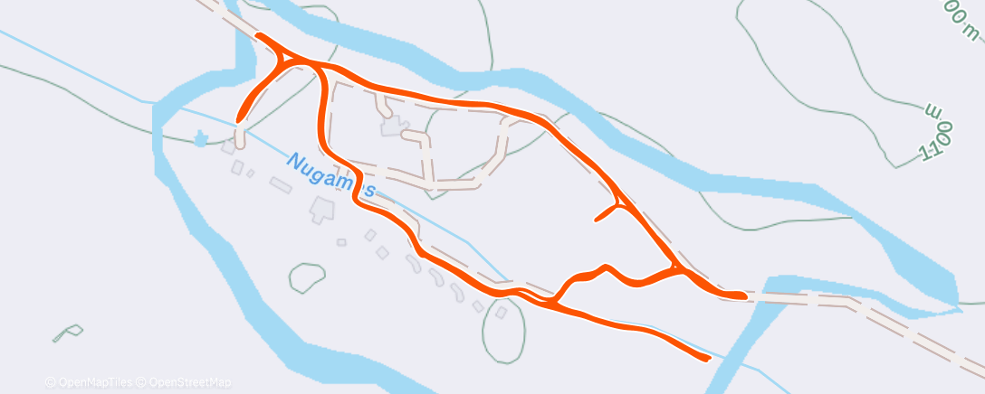 Карта физической активности (Morning Run)