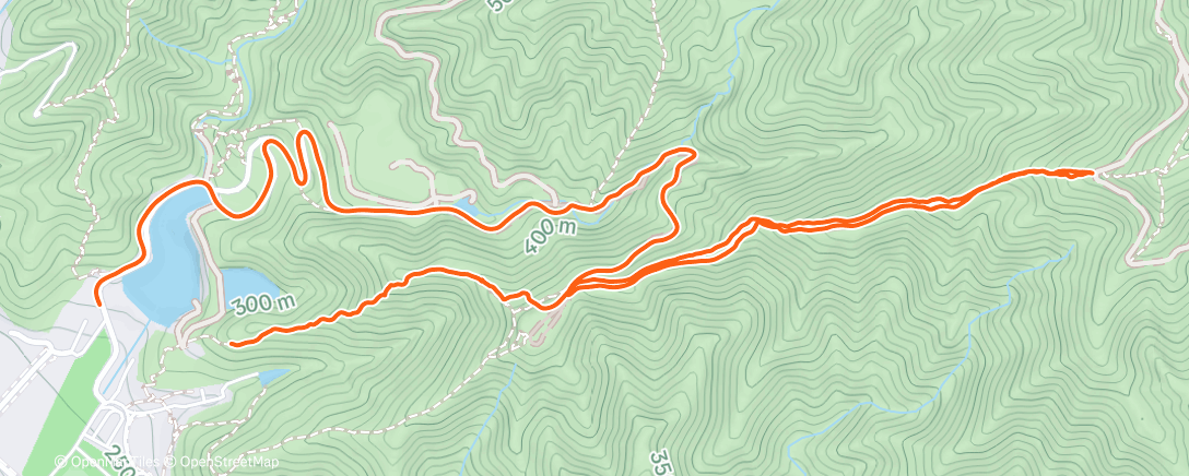 Карта физической активности (Afternoon Trail Run)