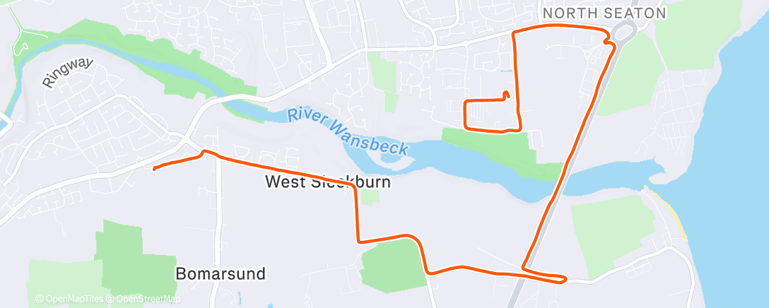 Карта физической активности (Wark)