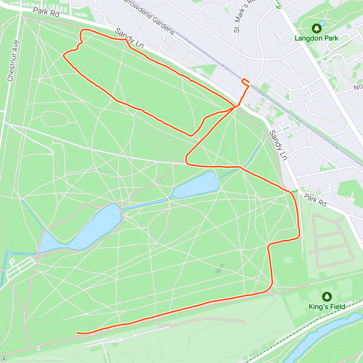 Карта физической активности (Half park run until Ted got tired)