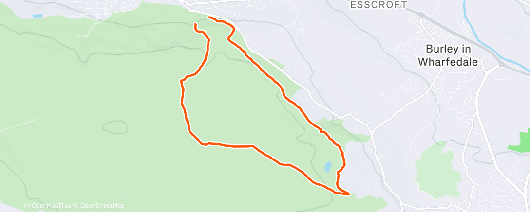 Карта физической активности (Morning Run with Helen 😁)