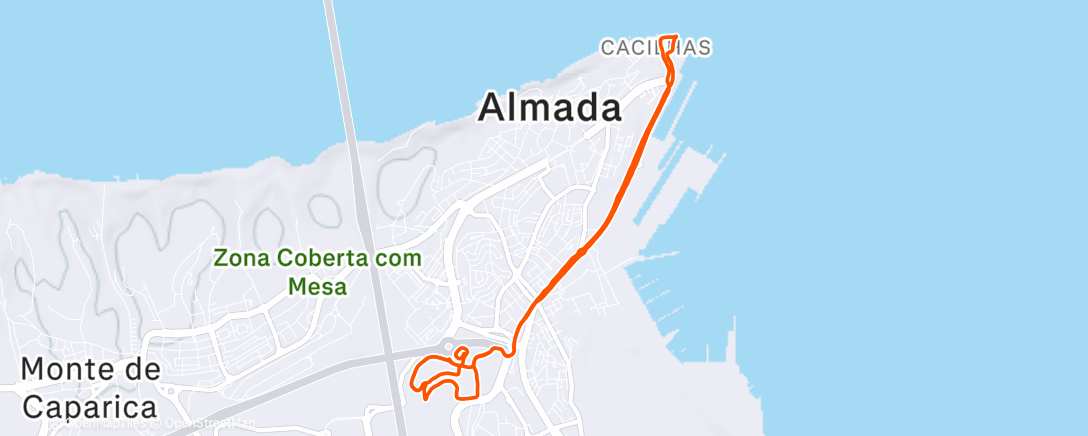 Map of the activity, Morning Run
