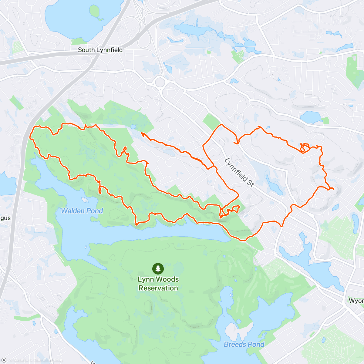 Map of the activity, 🦢?