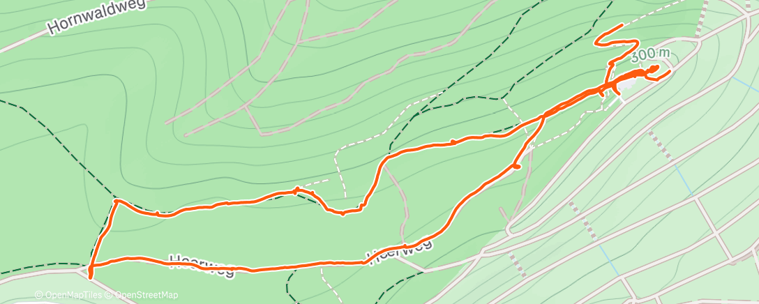 Map of the activity, Lauf am Nachmittag