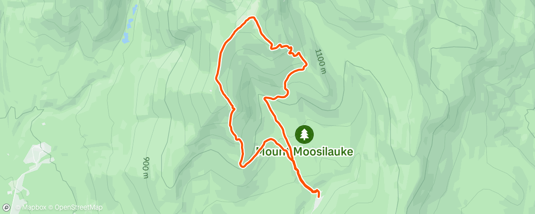 Map of the activity, Morning Trail Run