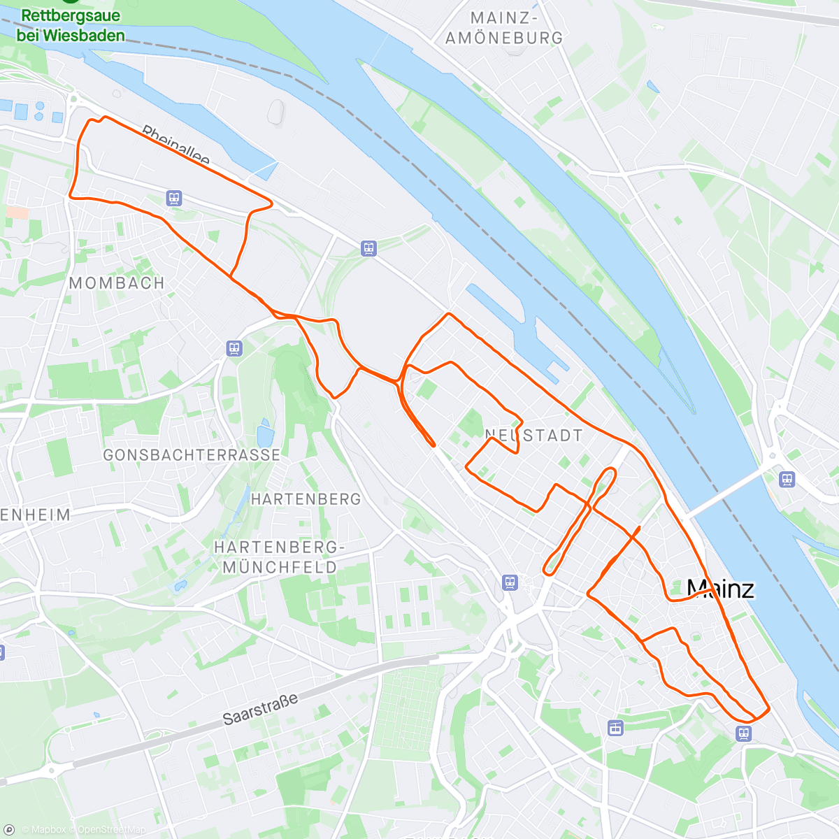 Map of the activity, Gutenberg Halbmarathon Mainz