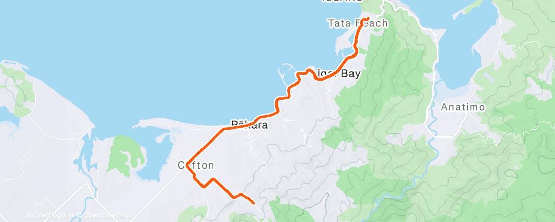 Карта физической активности (Getting chased by terns)