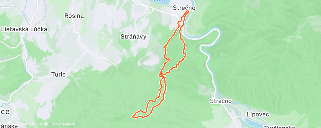 Карта физической активности (Morning Run)