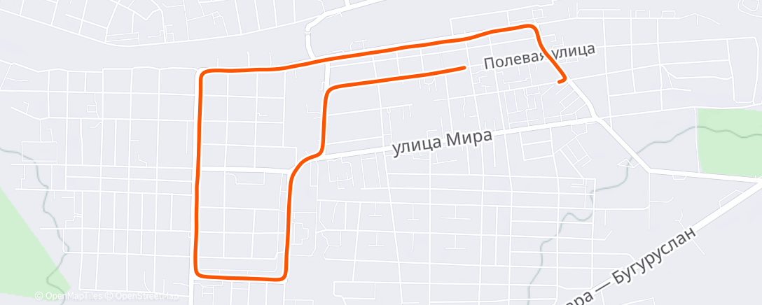 Карта физической активности (Evening Run)