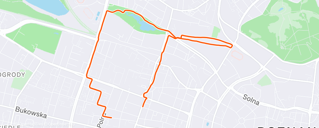 Map of the activity, Evening Run