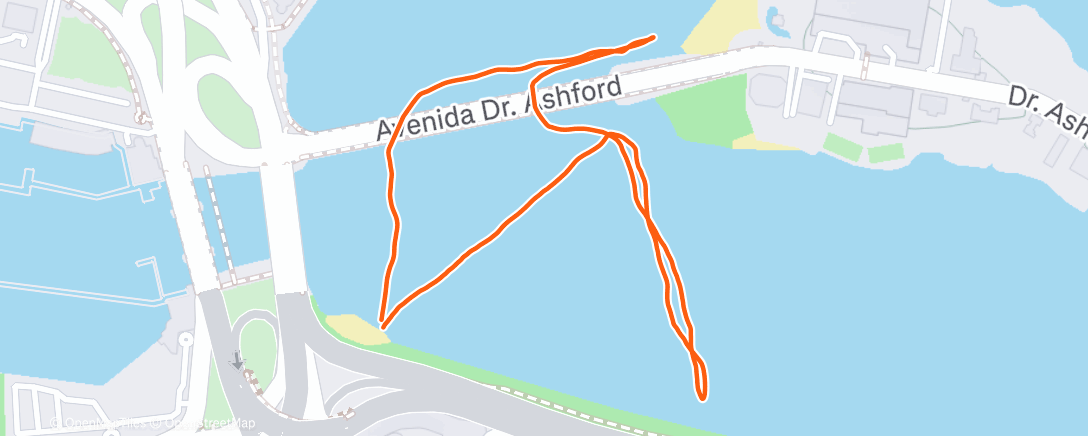 Map of the activity, Morning Swim