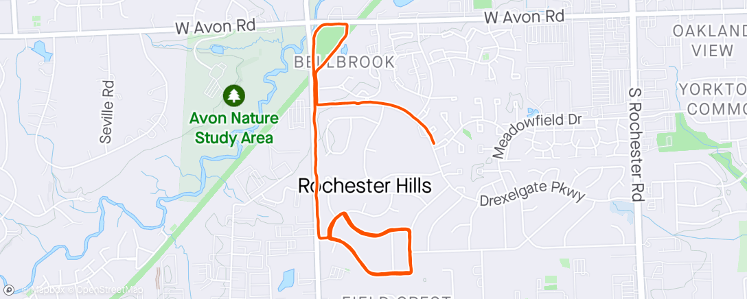Map of the activity, Rochester hills