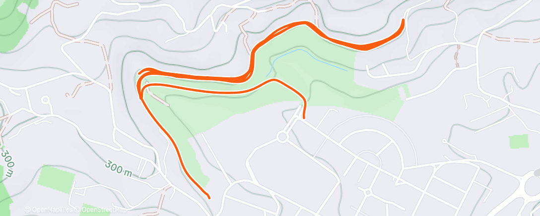 Карта физической активности (Carrera a la hora del almuerzo)