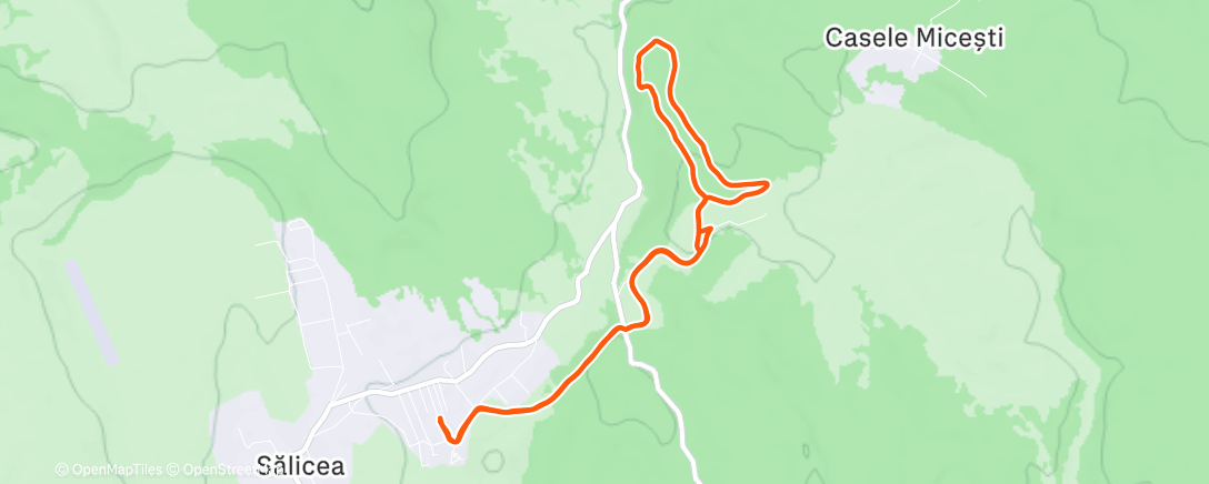 Mapa de la actividad, Afternoon Trail Run