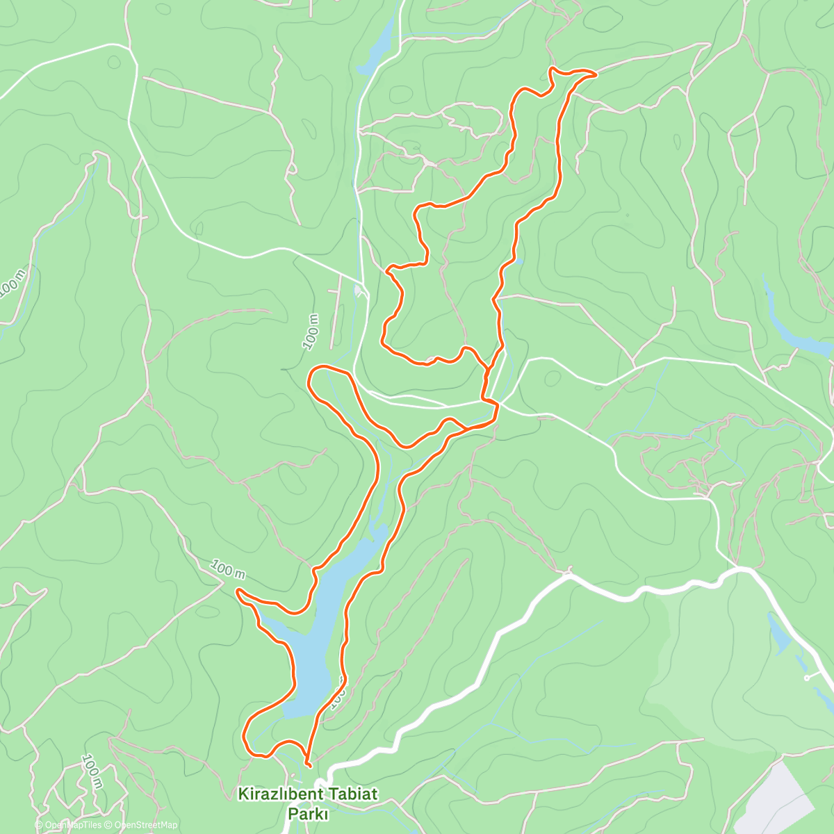 Карта физической активности (Belgrad ormani)