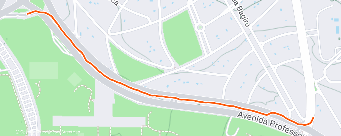 Map of the activity, Lunch Walk