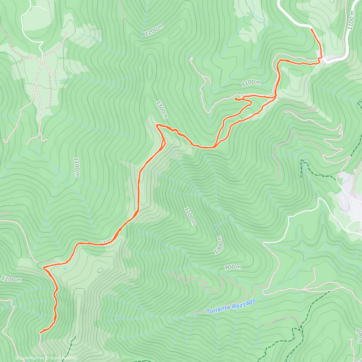 Карта физической активности (Il dottor Palanzone)