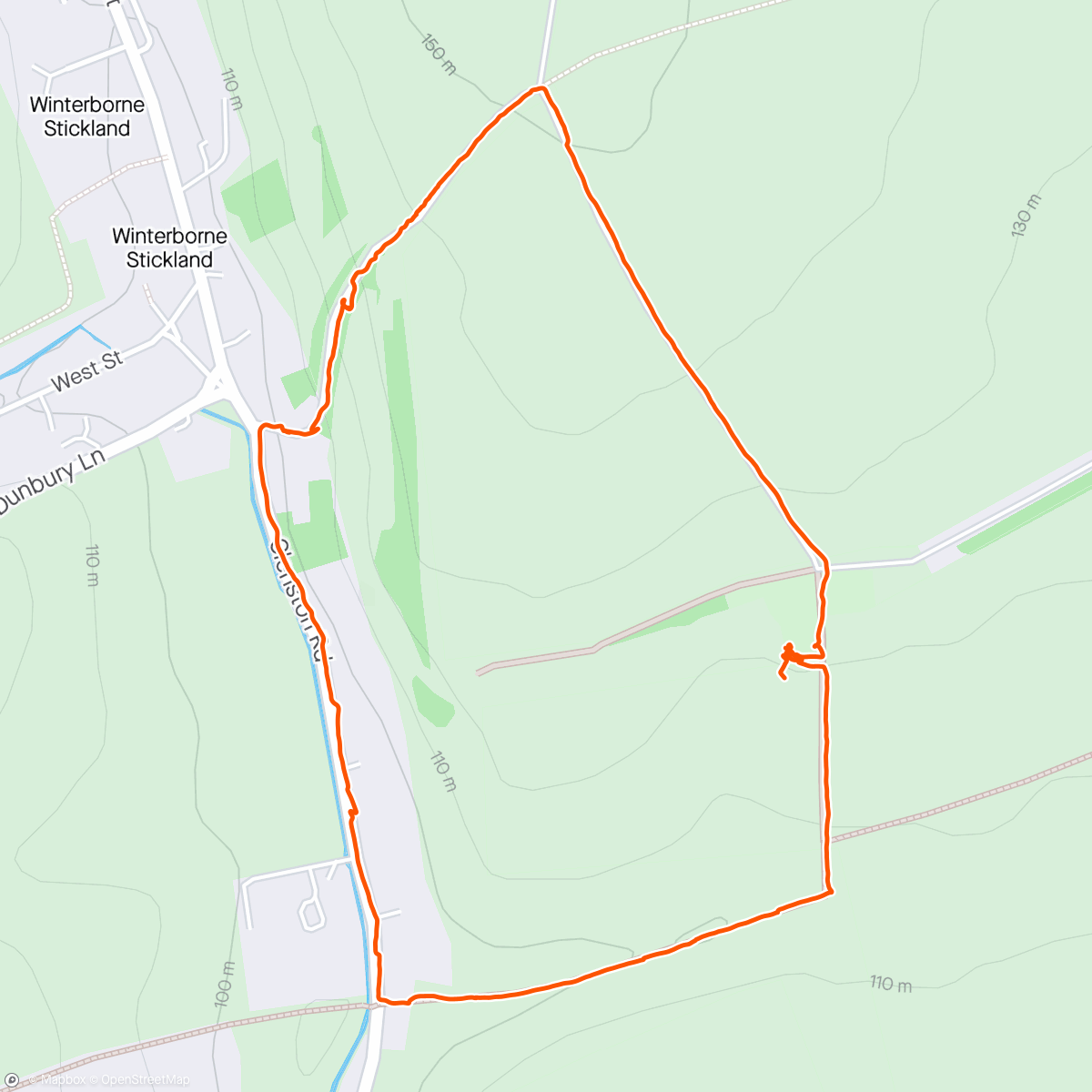 Map of the activity, Dylan walk