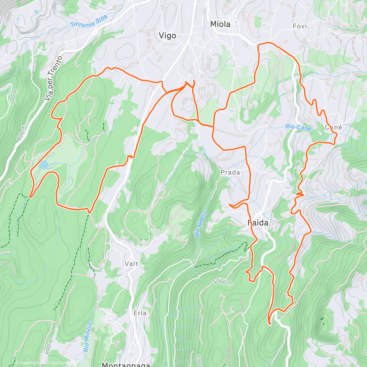 Карта физической активности (Quiet woods, crunchy snow & good vibes 🌲❄️)