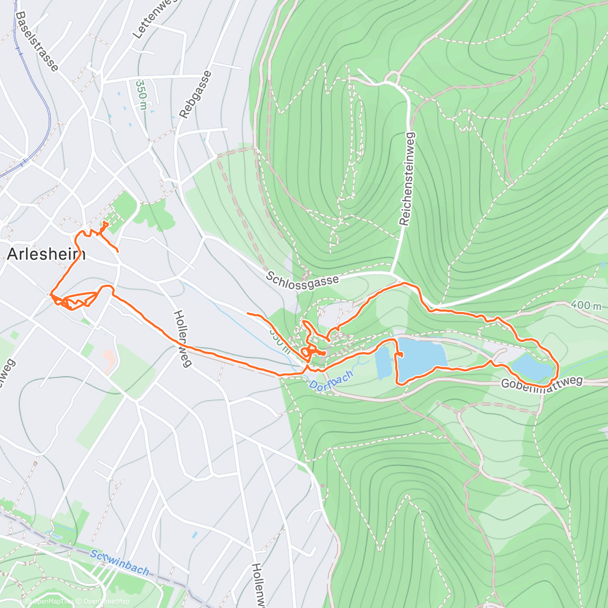 Карта физической активности (Hopping sausage!)