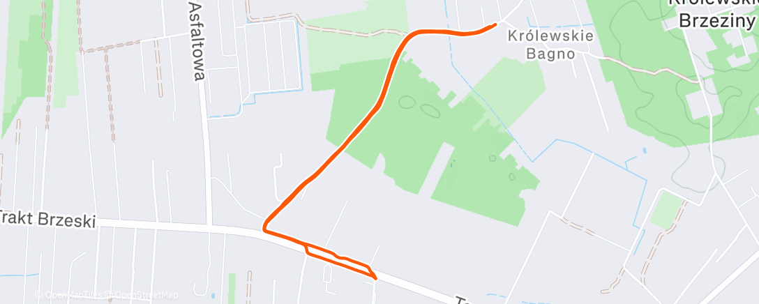 Map of the activity, Night Run
