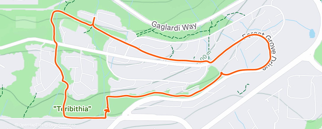 Map of the activity, Lotsa fetch 🐶