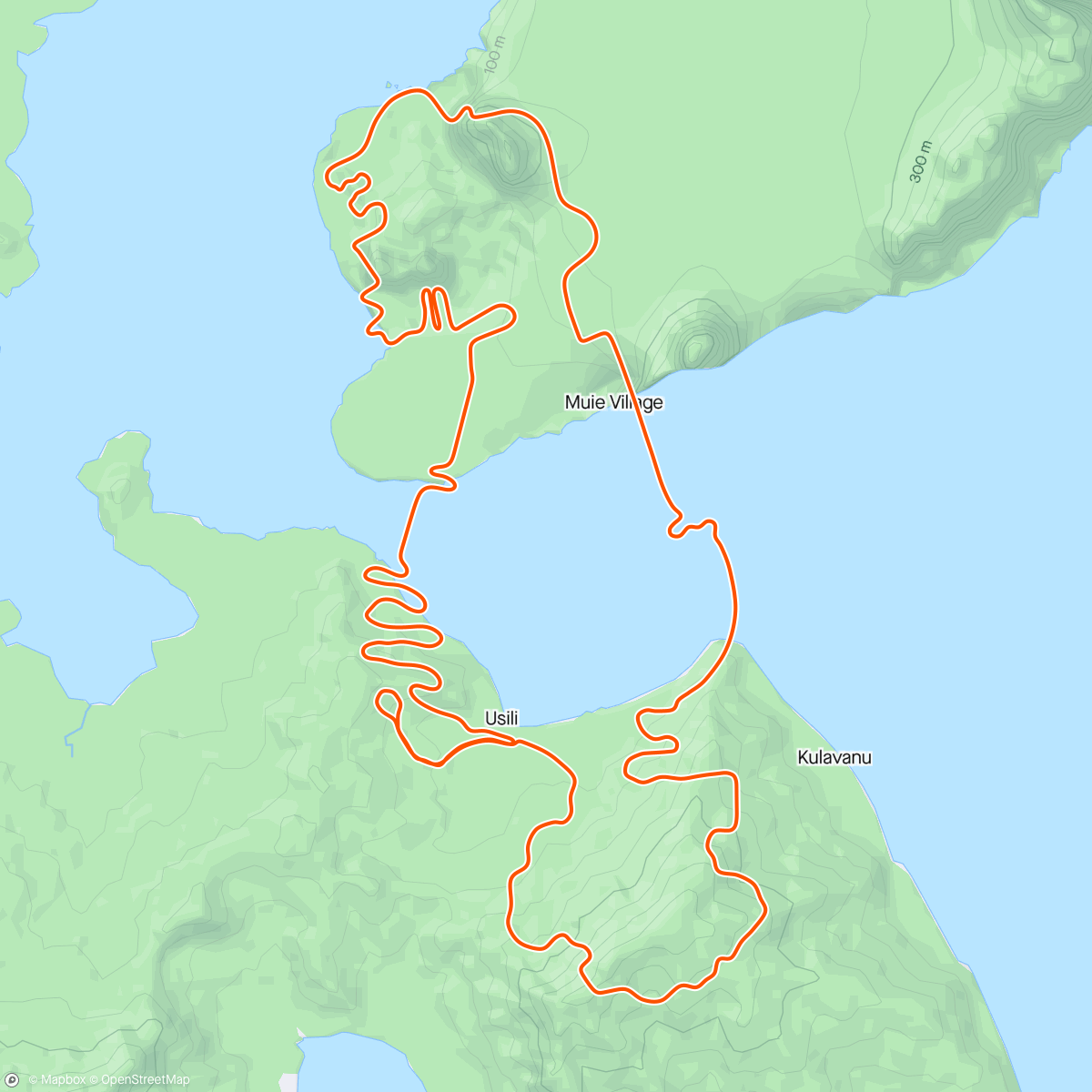 「Zwift - Mountain Route in Watopia」活動的地圖